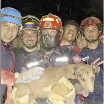 Firefighters rescue trapped dogs from Venezuela earthquake rubble, offering rare hope amid devastation