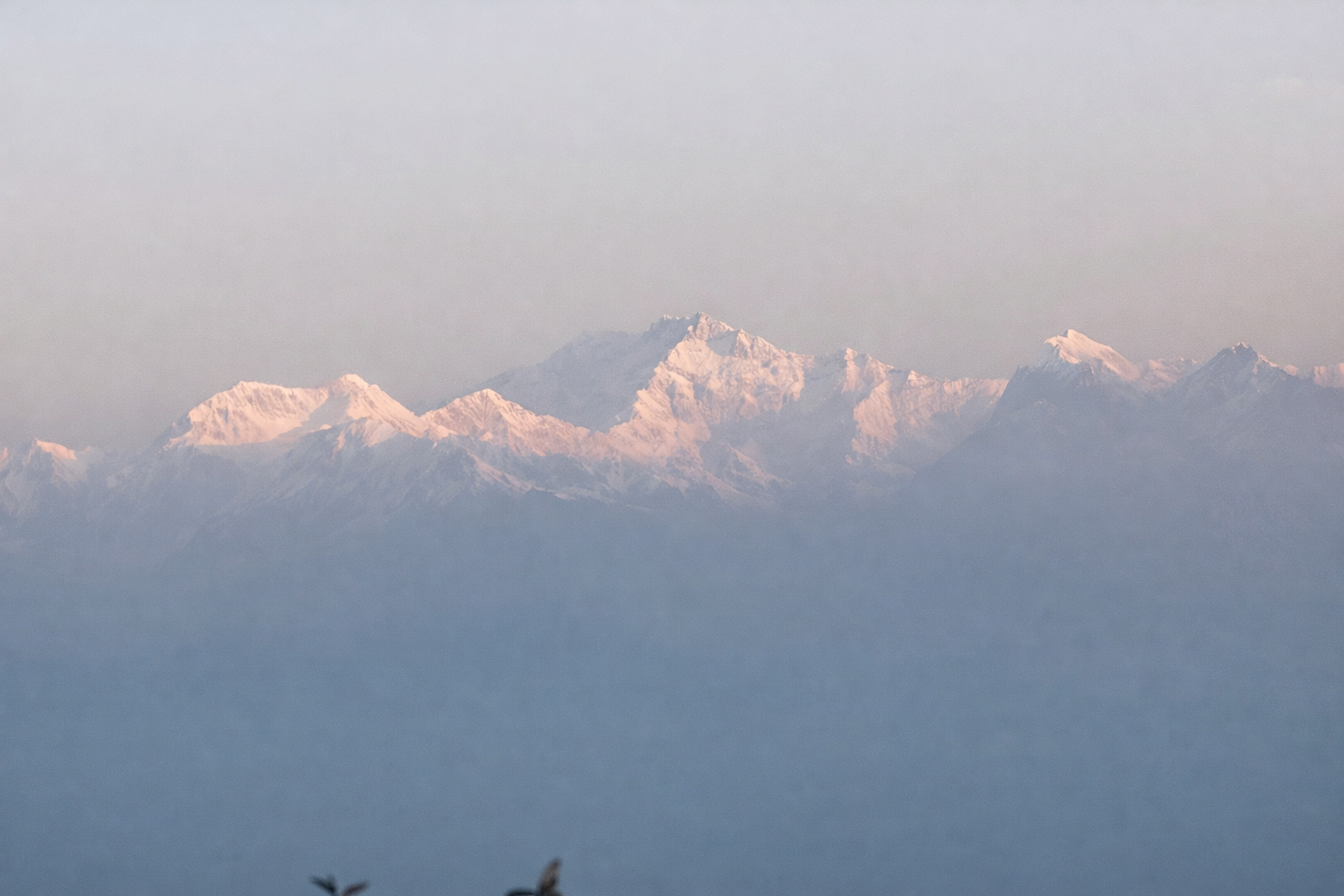 Chhibo: A hidden paradise of misty hills, quiet trails, and tranquil escapes in scenic Kalimpong