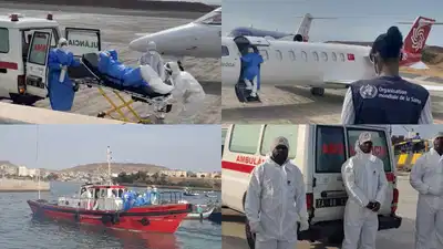 'World must remain safe': WHO warns more hantavirus cases may emerge after deadly cruise ship outbreak