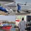 'World must remain safe': WHO warns more hantavirus cases may emerge after deadly cruise ship outbreak