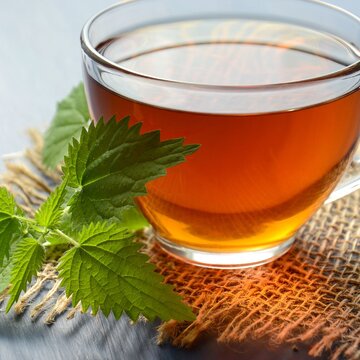 What kind of tea should you sip on to stay healthy throughout winter?