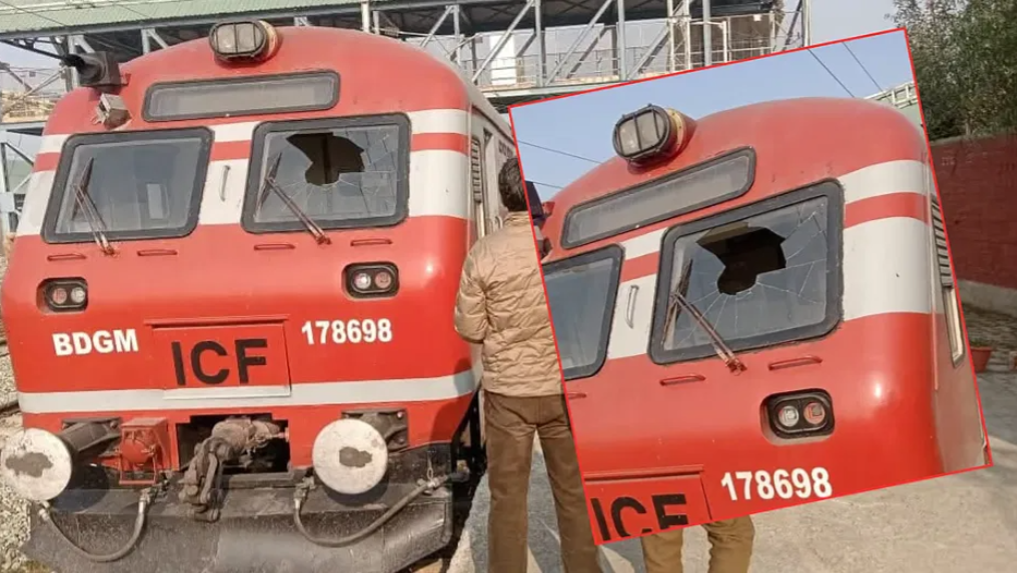 Eagle crashes into moving train in Kashmir, loco pilot injured