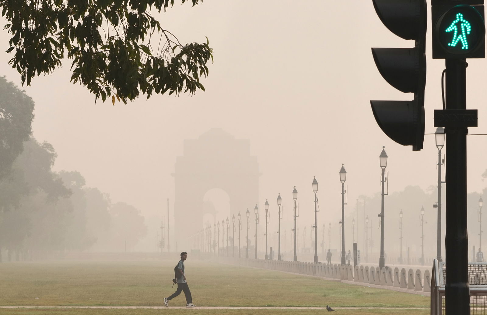 Delhi’s toxic air is suffocating your lungs but these everyday foods can help you fight back, says veteran oncologist