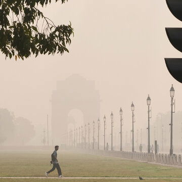 Delhi’s toxic air is suffocating your lungs but these everyday foods can help you fight back, says veteran oncologist