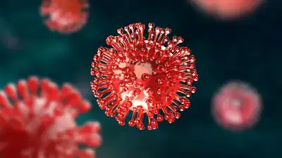 Are we moving towards another pandemic? 100 cruise ship passengers fall ill with Norovirus
