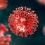Are we moving towards another pandemic? 100 cruise ship passengers fall ill with Norovirus
