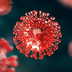 Are we moving towards another pandemic? 100 cruise ship passengers fall ill with Norovirus