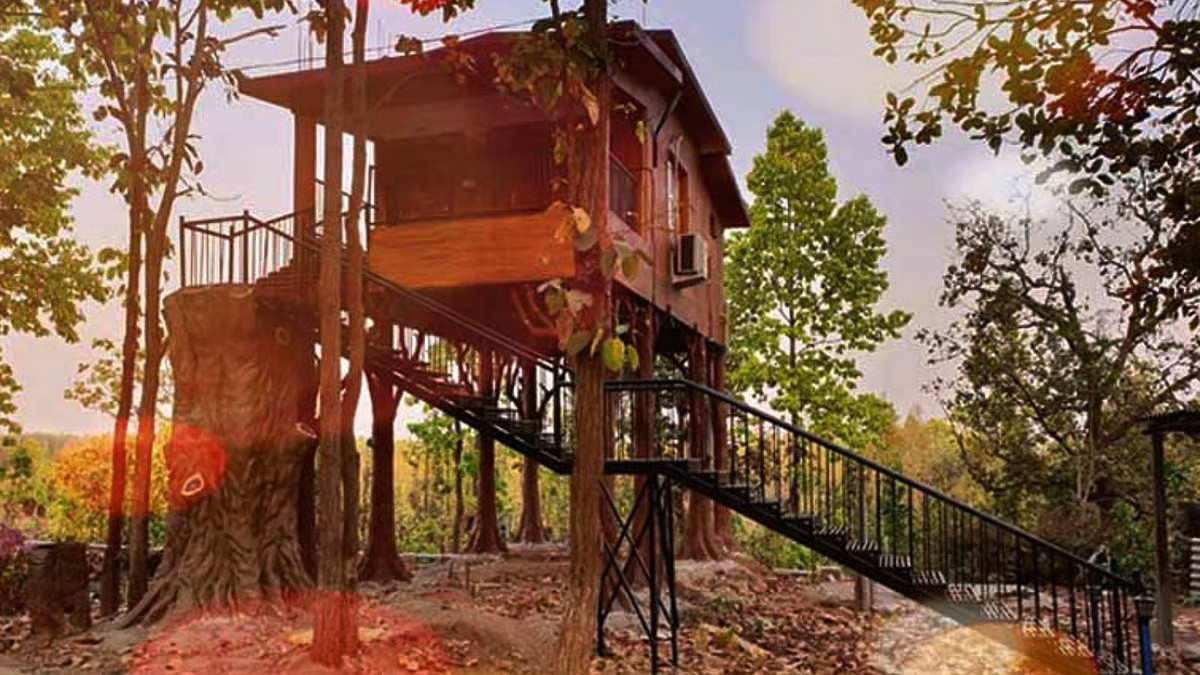 Bankura’s hidden gem: Why everyone’s calling it the ‘Dooars of the South’?