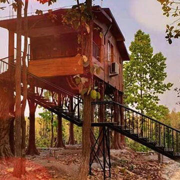 Bankura’s hidden gem: Why everyone’s calling it the ‘Dooars of the South’?