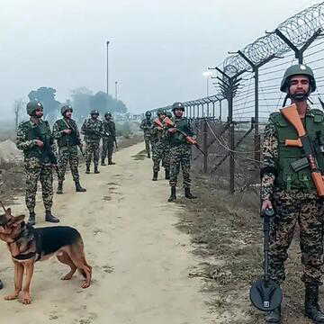 Now snakes and crocodiles to prevent infiltration at border? Here's a look at BSF's new security strategy