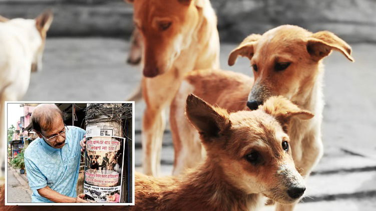 Be human to non-human beings, animal lovers appeal during Kali Puja