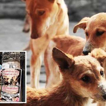 Be human to non-human beings, animal lovers appeal during Kali Puja