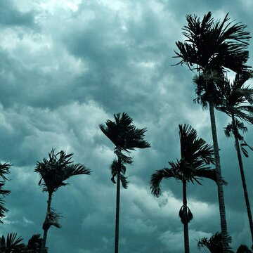 Rain to return in South Bengal from Sunday as cyclonic circulation affects weather pattern-here's the latest update
