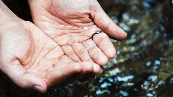 Kolkata to harvest monsoon rain deep below city streets to increase water levels