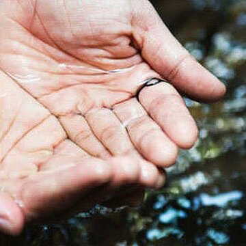 Kolkata to harvest monsoon rain deep below city streets to increase water levels