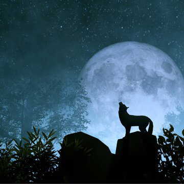 January 2026 Wolf Supermoon: When and where to watch the year’s first full moon