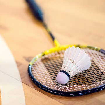 Two badminton champions can play despite suspension, High Court orders
