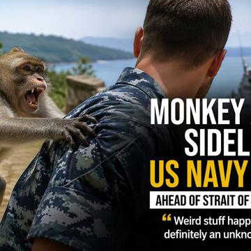 Monkey attacks US Navy sailor on mission to Strait of Hormuz to clear mines