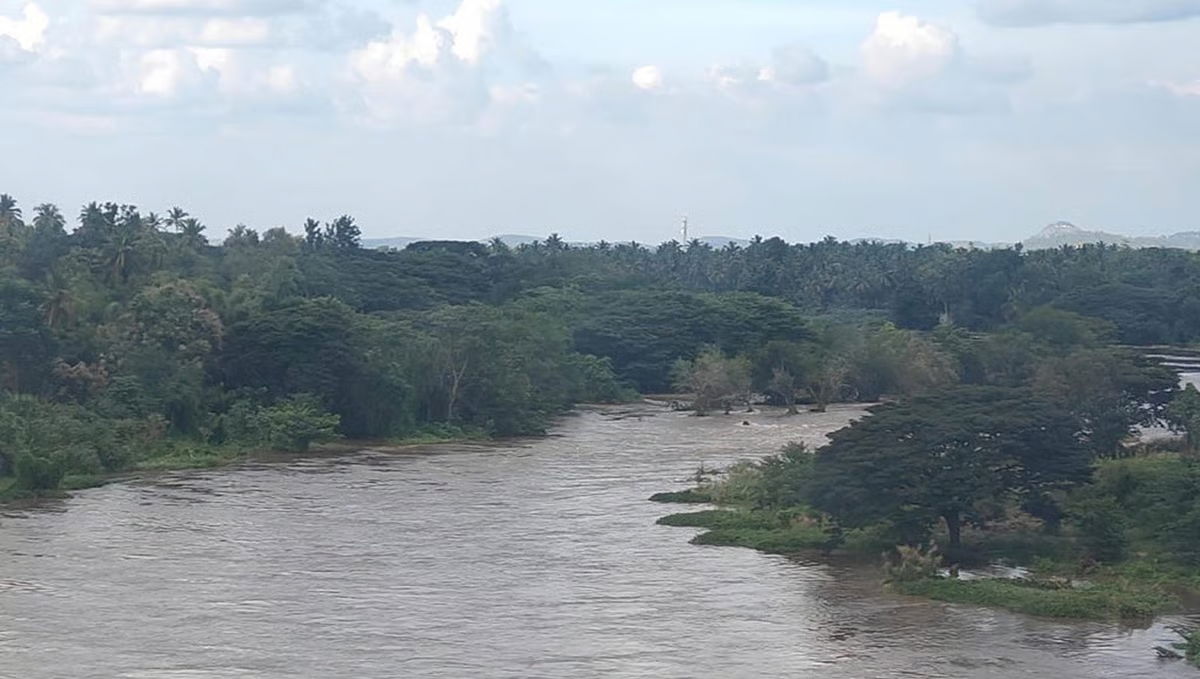 Mahananda river’s encroached riverbank go on sale at ₹2 lakh per katha