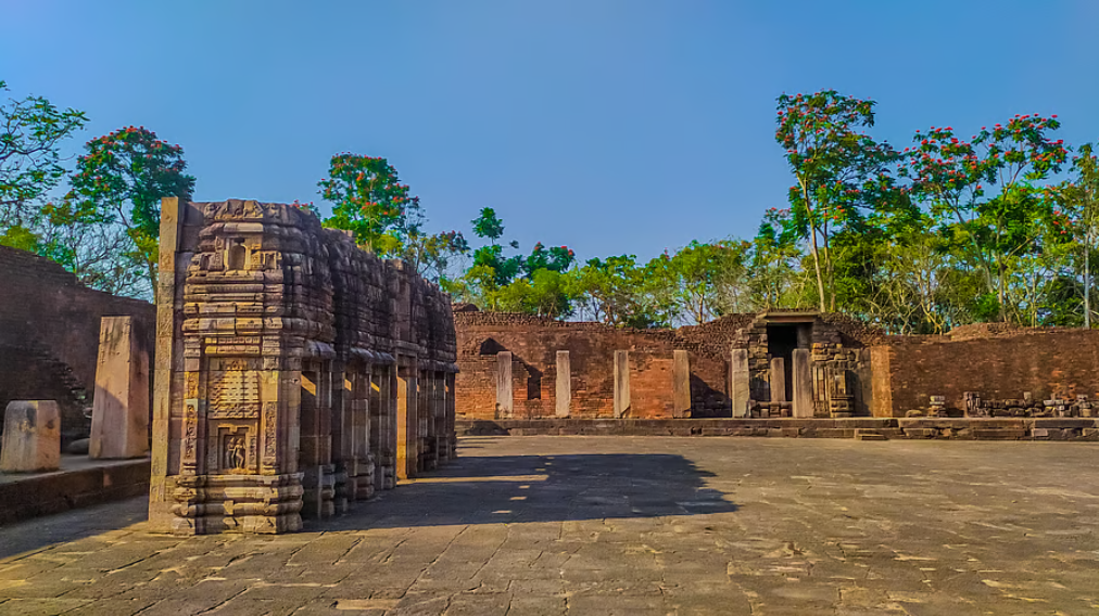 ओडिशा के तीन प्रमुख बौद्ध स्थल अब यूनेस्को टेंटेटिव लिस्ट में शामिल, बढ़ेगा धरोहर पर्यटन