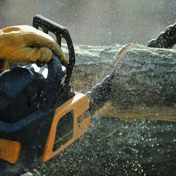 पेड़ की ऊंची डाली काटते समय युवक का धड़ हुआ सिर से अलग