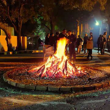 होलिका दहन 2026 : जीवन की सारी समस्याओं को दूर करने के लिए अचूक इस राख का उपाय