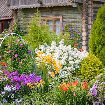 सकारात्मक ऊर्जा से घर भर जाएगा, घर में रखें ये 5 फूलों के पौधे।