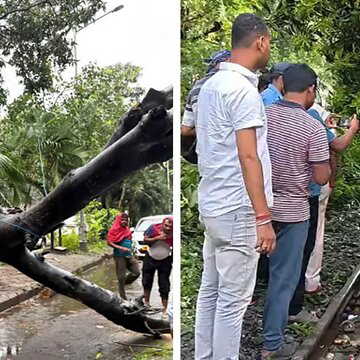 कुछ मिनट की आंधी ने मचायी तबाही : टूटे पेड़, बिजली के झटके से गयी जान,  मौसम की सबसे तेज कालवैशाखी