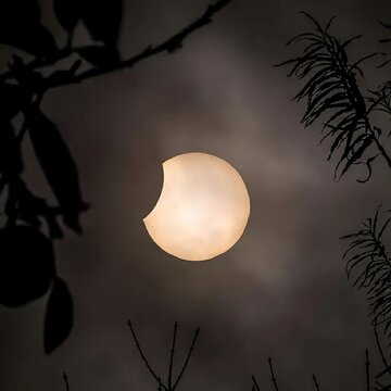 अगर आप सकारात्मक ऊर्जा चाहते हैं तो चंद्र ग्रहण से पहले ही घर से ये सभी चीजें हटा दें