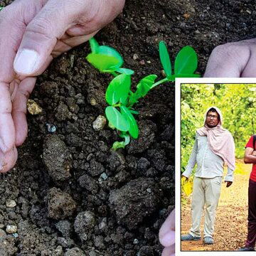 खाए हुए फलों के बीज फेंकने की जगह उसे जंगल में बोने लगे, पांच दोस्तों की अनोखी पहल