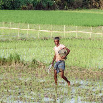 2025 में उर्वरक उत्पादन में आत्मनिर्भरता की ओर बड़ा कदम