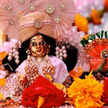 क्या घर पर गोपाल है ? उन्हें कब नहलाएंगे ? पूजा कैसे करेंगे ? जानिए...