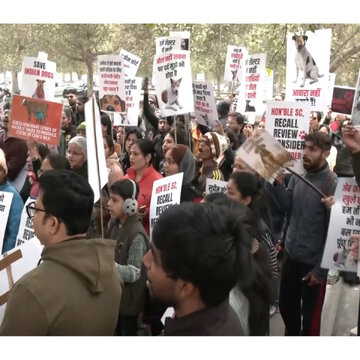 आवारा कुत्तों पर सुप्रीम कोर्ट आदेश के खिलाफ लखनऊ में प्रदर्शन, पुनर्विचार की मांग