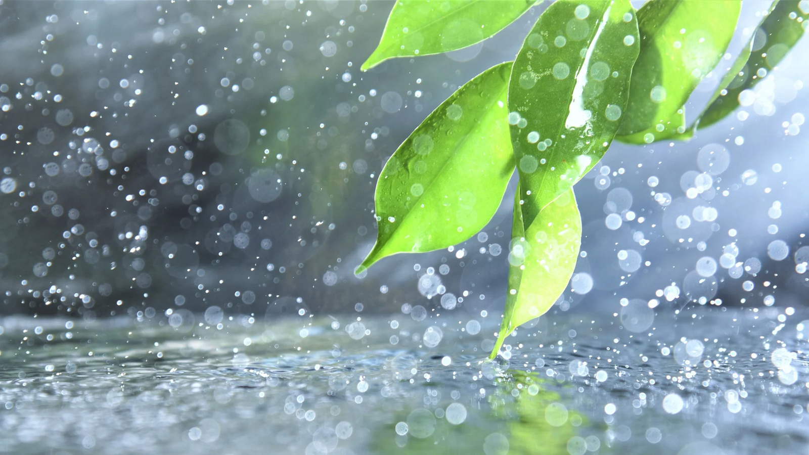 वीकेंड पर बारिश का अनुमान, प्लान फेल हो सकता है