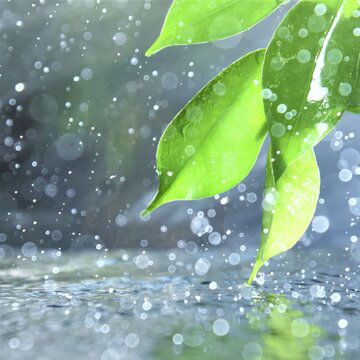 वीकेंड पर बारिश का अनुमान, प्लान फेल हो सकता है