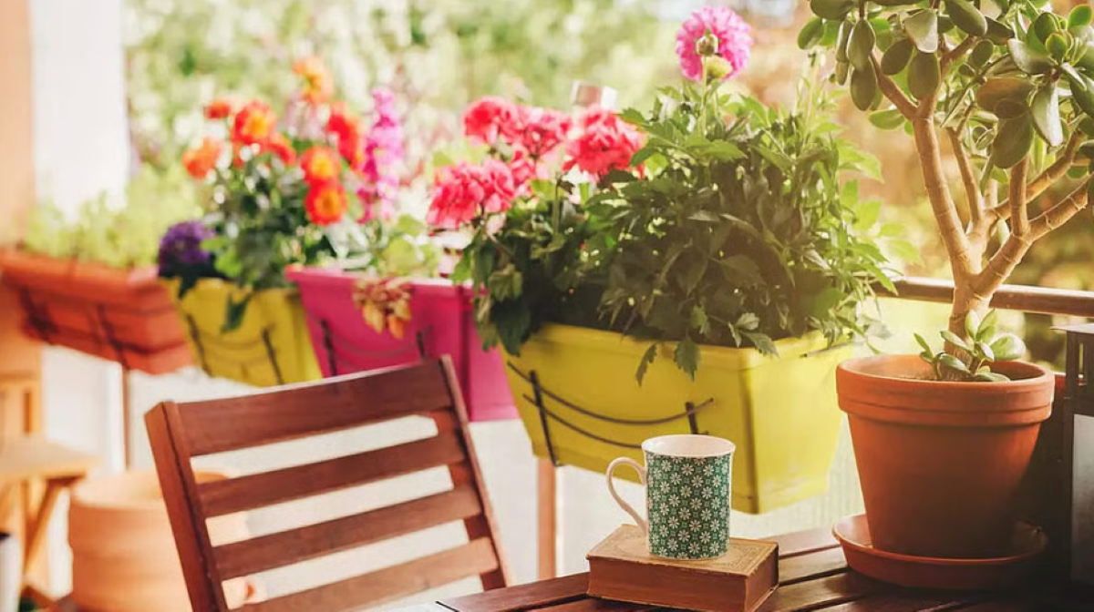 Home Decore : घर का सबसे सुकून भरा कोना - अट्रैक्टिव बालकनी के लिए अपनाएं ये स्मार्ट डेकोरेशन आइडियाज़