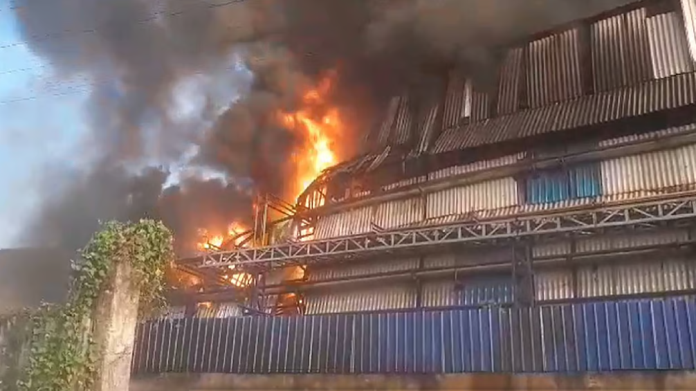 खड़दह में रंग बनाने के कारखाना में लगी भयावह आग, मौके पर पहुंची दमकल की 20 इंजन