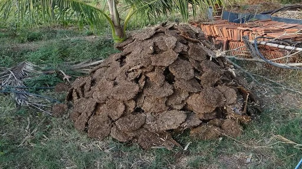 ओडिशा में पुजारी को गोबर खाने पर मजबूर करने और पीटने का आरोप, उस पर मुकदमा भी दर्ज कराया