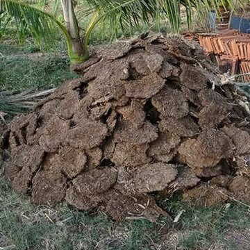 ओडिशा में पुजारी को गोबर खाने पर मजबूर करने और पीटने का आरोप, उस पर मुकदमा भी दर्ज कराया