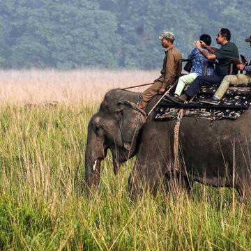 बंगाल चुनाव में पुलिस भी बेबस, सुरक्षा की अनोखी व्यवस्था : वोटिंग सेंटर की रखवाली करेंगे हाथी, जानिए पूरा प्लान