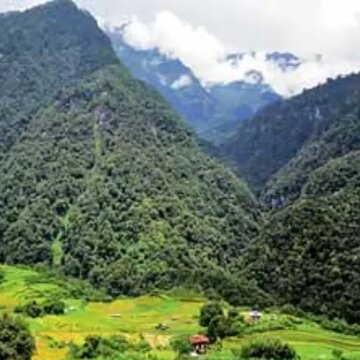 हिमालय में दो वर्षों के भीतर 350 वर्ग किमी वन आच्छादन में कमी