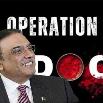 'बंकर में छिपने की आयी थी नौबत...' ऑपरेशन सिन्दूर की सफलता पर पाक राष्ट्रपति का कबूलनामा