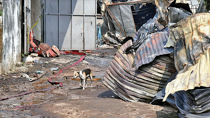 आनंदपुर में डेकोरेटर के गोदाम में मिली 3 रसोईघर, कहां से लगी थी आग? जांच जारी