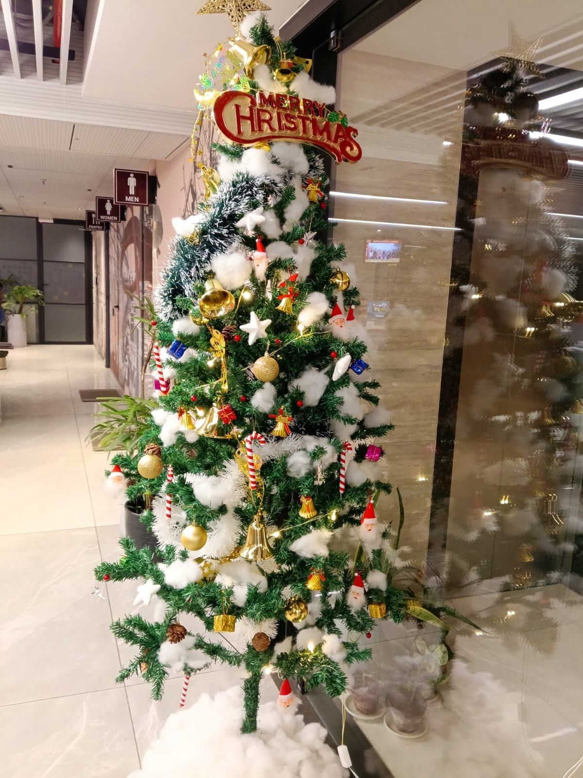 क्रिसमस पर घर में क्रिसमस ट्री कहाँ रखें ? इसे कैसे सजाएँ ? जानिए वास्तु क्या कहता है।