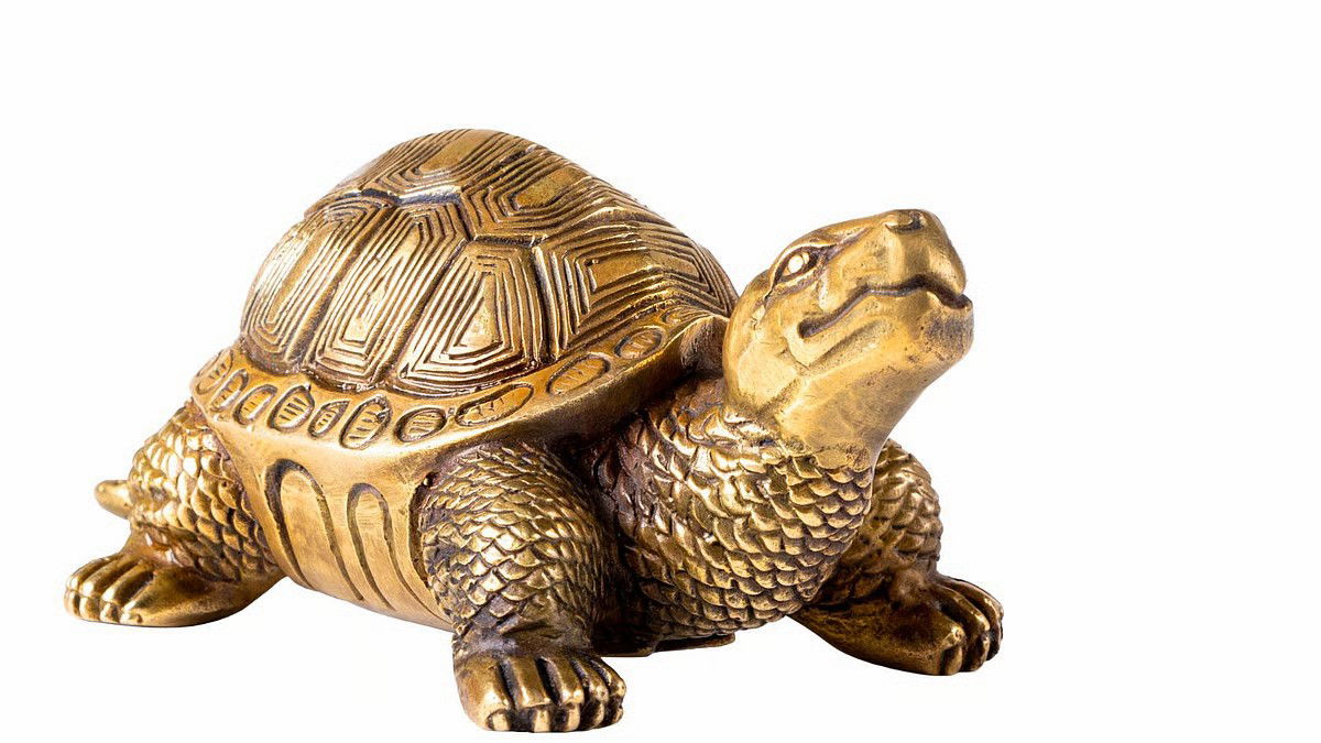 अगर घर में कूर्म अवतार की मूर्ति रखें तो क्या होता है ? स्थापना का सही तरीका जानते हैं ?