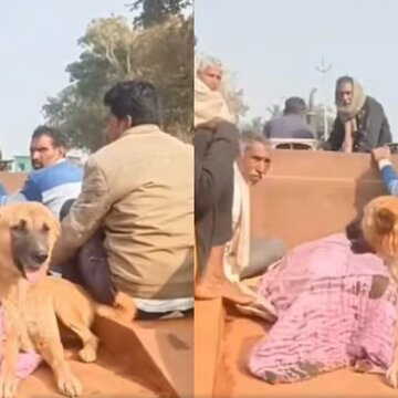 आत्महत्या करने वाले मालिक के शव के पास एक पल के लिए भी नहीं हटा उसका पालतू कुत्ता, श्मशान तक साथ गया