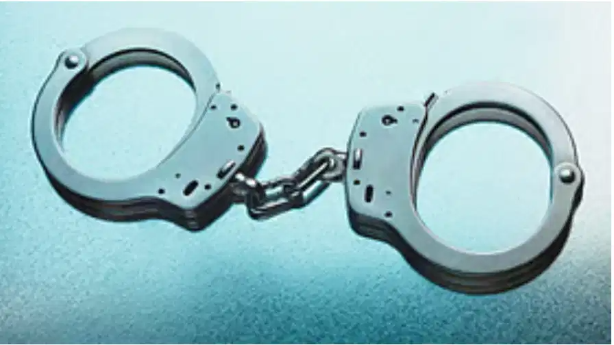 दिल्ली में हथियार तस्करी नेटवर्क पर शिकंजा कसा, 11 पिस्तौल के साथ आरोपी गिरफ्तार