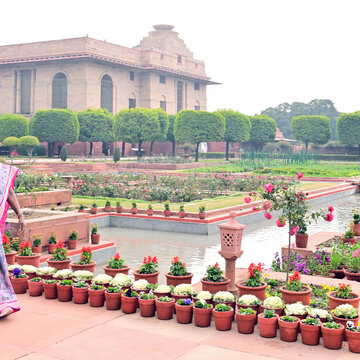 3 फरवरी से खुलेगा राष्ट्रपति भवन का अमृत उद्यान, क्या है Timing? कैसे बुक करेंगे टिकट?