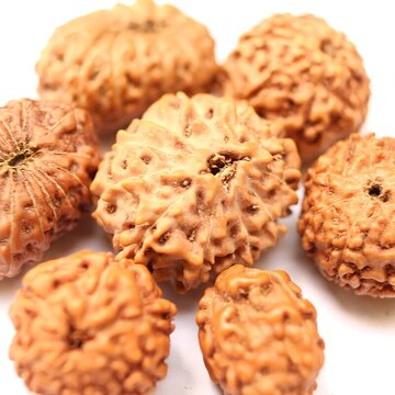 Durga Puja 2025 : एक करोड़ से अधिक रुद्राक्षों से सजाया जाएगा चेतला अग्रणी का पंडाल