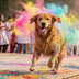 रंगों के उत्सव में अपने पालतू को शामिल करना चाहते हैं? किन बातों का ध्यान रखें
